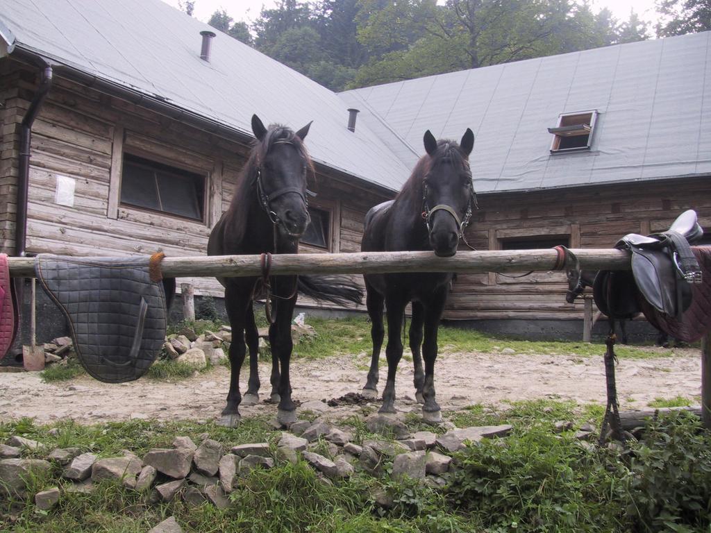 Osrodek Beskid Fizjo & Spa คอร์เบียลุฟ ภายนอก รูปภาพ