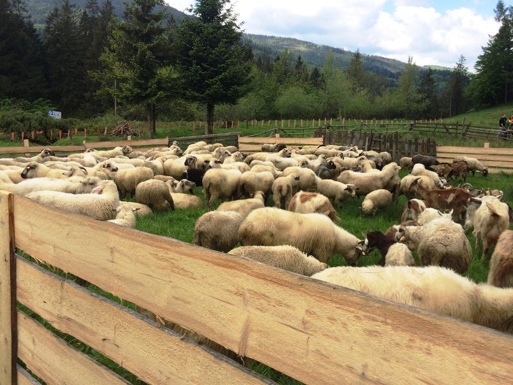 Osrodek Beskid Fizjo & Spa คอร์เบียลุฟ ภายนอก รูปภาพ